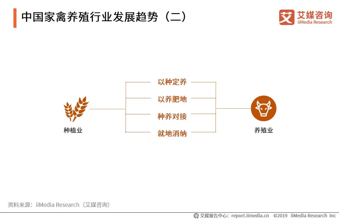 中国家禽养殖行业发展趋势-艾媒咨询