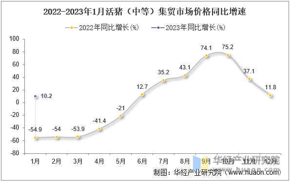 2022-2023年1月活猪（中等）集贸市场价格同比增速