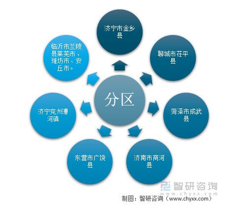 山东大蒜主要产区分布