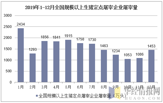 2019年1-12月全国规模以上生猪定点屠宰企业屠宰量