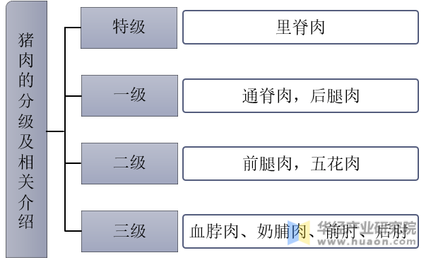 猪肉的分级及相关介绍