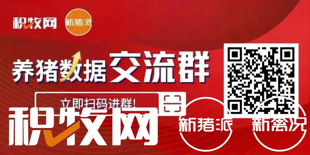 10月16日：仔猪价格止跌上涨，散户又站起来了？全国生猪价格普降，云南逆势上涨，福建最高9.49元/斤【三仪特约·猪价指数】