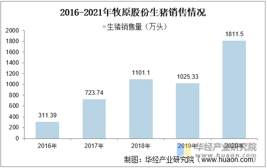 2016-2021年牧原股份生猪销售情况