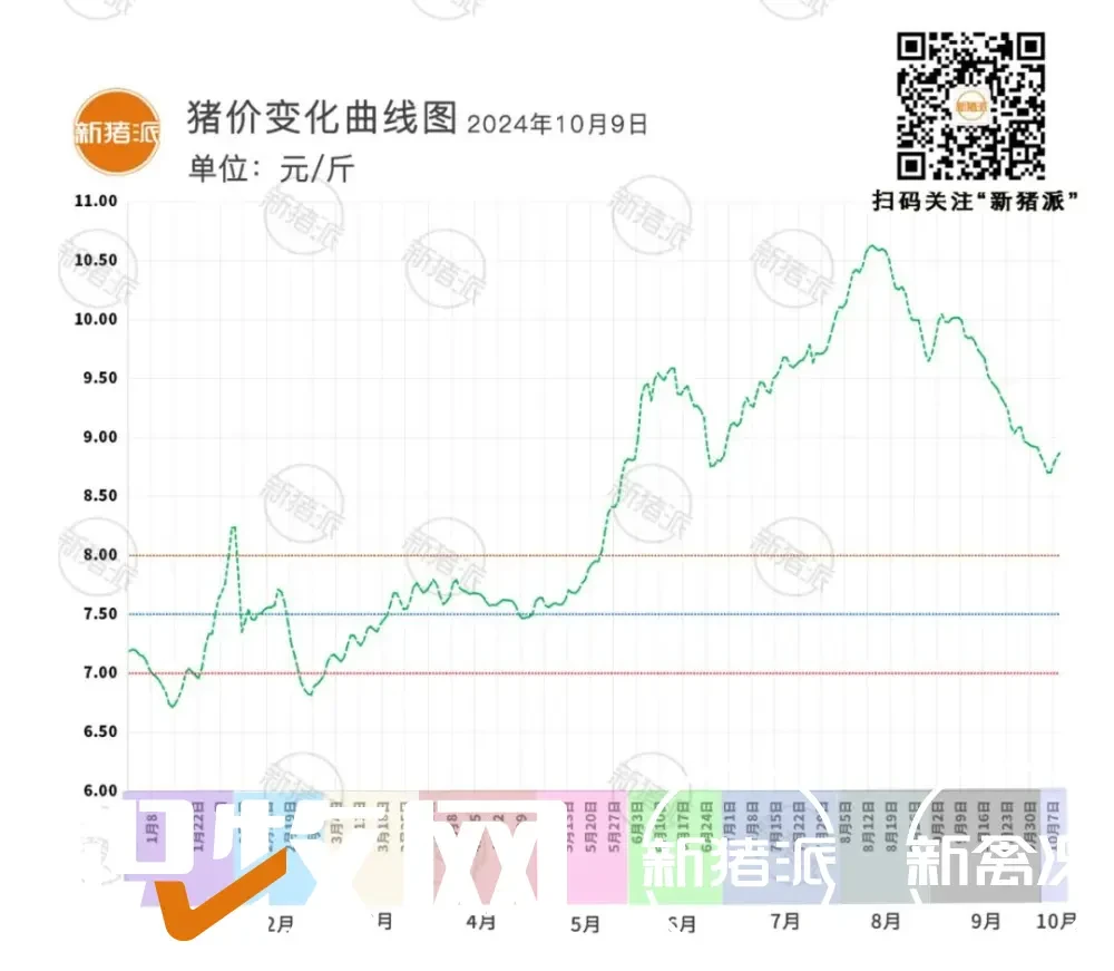 10月9日：行情向好！11省猪价飘红，4省止跌，广东最高9.29元/斤【三仪特约·猪价指数】