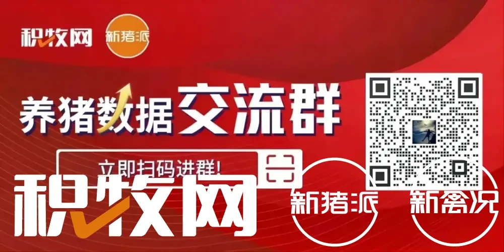 非瘟一役，河南万头猪场仅存14家！“中腰部”猪企覆灭，产业格局形成“工”字结构