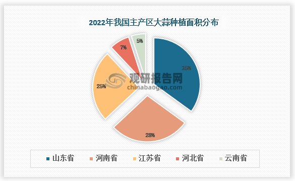 大蒜原产于中亚和西亚一带地区。我国的大蒜主要产区分布在长江中下游地区，此外，山东、江苏、安徽、河南、湖北、四川、重庆及云南部分地区也有栽培。