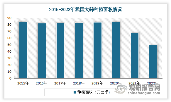 我国是世界最大的大蒜生产国，大蒜总产量稳居世界首位。大蒜在我国已经有2000多年的栽培种植历史，不仅栽培历史悠久，而且栽培面积大、产量高。近年来我国几个主要大蒜产区均存在减产趋势，从而导致我国大蒜种植面积呈现下降态势。数据显示，2022年我国大蒜种植面积740万亩（49.3万公顷）。